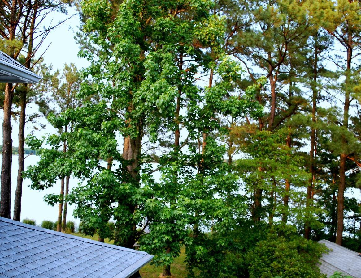 Swanendele Inn Ridge Екстериор снимка